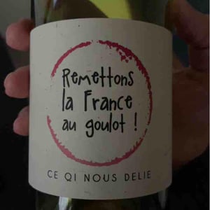 Ce qui Nous Delie - De Vini - Vini Libre - christophe-bosque