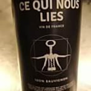 Ce Qui Nous Lies - ? - ce-qui-nous-lie