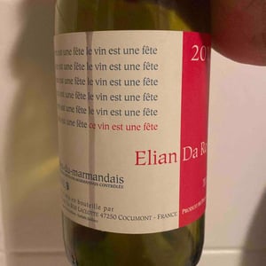 Elian Da Ros - Sandrine et Elian Da Ros - Ce Vin Est Une Fête