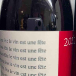 Ce Vin Est Une Fête - Elian Da Ros - Sandrine et Elian Da Ros 