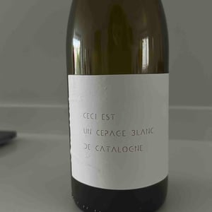 Ceci Est Un Cepage Blanc De Catalogne - Ronald Joachin - Ronald Joachin -2019