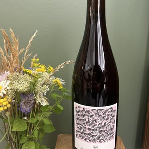CECI N’EST PAS UN ROSÉ - Domaine Montaillant - alexis-hudon-jerome-loubert