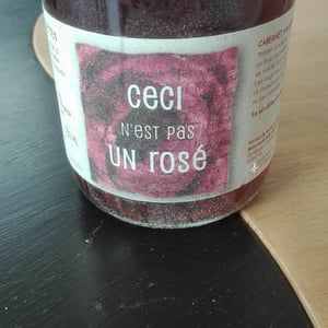 Ceci N'Est Pas Un Rosé - Les Sablonnettes - christine-joel-menard