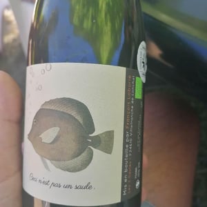 Ceci N'est Pas Un Saule - Domaine Les 3 Saules - francois-laborie