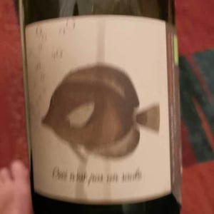 Ceci N'est Pas Un Saule - Domaine Les 3 Saules - francois-laborie