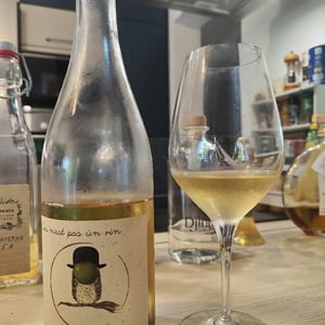 Conservatoire De Vignes Anciennes - Karine & Cyril Alonso - Ceci N’est Pas Un Vin