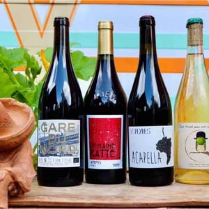Ceci N’est Pas Un Vin - Conservatoire De Vignes Anciennes - karine-cyril-alonso