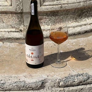 Cécile 40 - Ansitz Dornach - patrick-karoline-uccelli -2022