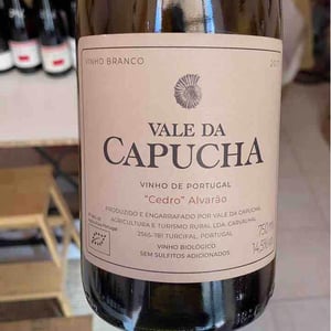 Cedro Alvarão - Vale da Capucha - pedro-marques -2017