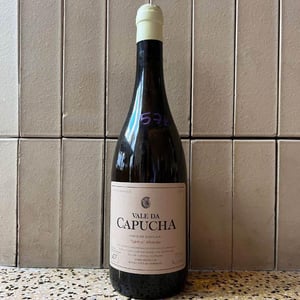 Cedro Alvarão - Vale da Capucha - pedro-marques -2017