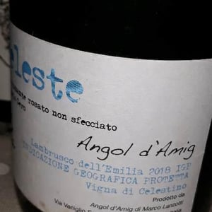Celeste - Angol d'Amig - Marco Lanzotti 