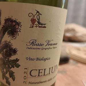Celium 2021