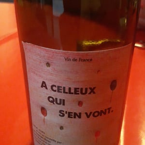 Celleux qui s'en vont - Les champs libres - rene-jean-dard-herve-souhaut -2021