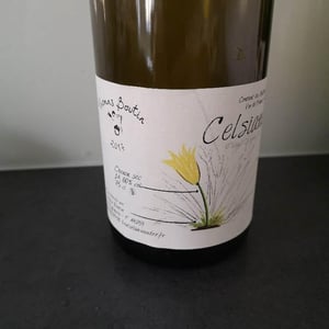 Celsiane - Thomas Boutin - Thomas Boutin 