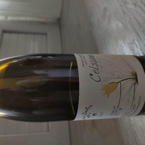 Celsiane - Thomas Boutin - Thomas Boutin 