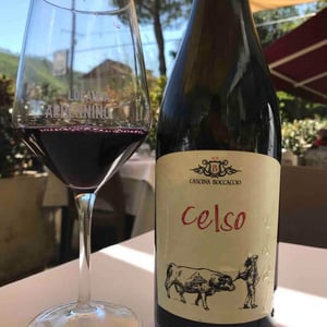 Celso - Cascina Boccaccio - Roberto Porciello 