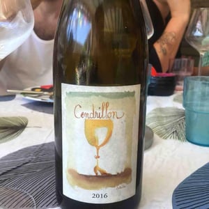Domaine de la Garreliére - Pascale & François Plouzeau - Cendrillon