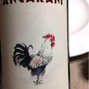 Centesimino - Ancarani - Rita Babini & Claudio Ancarani 