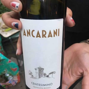 Centesimino - Ancarani - rita-babini-claudio-ancarani
