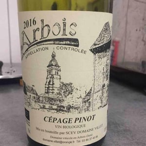 Cépage Pinot - Domaine Villet - gerard-christine-villet