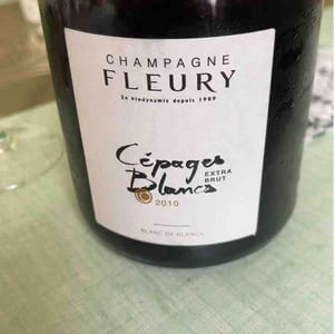 Cépages Blancs - Champagne Fleury - Morgane, Jean-Sébastien & Benoit Fleury 