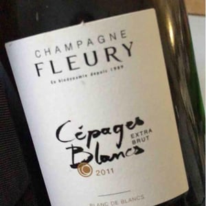 Cépages Blancs - Champagne Fleury - Morgane, Jean-Sébastien & Benoit Fleury 