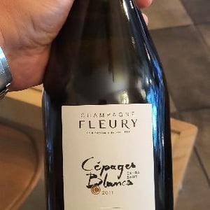 Cépages Blancs - Champagne Fleury - morgane-jean-sebastien-benoit-fleury
