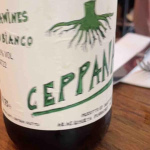 CeppaNat Bianco Pet-nat - Piccolo Podere del Ceppaiolo - Danilo Marcucci & Riccardo Pennaforti 