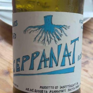 CeppaNat Rosato - Piccolo Podere del Ceppaiolo - Danilo Marcucci & Riccardo Pennaforti 
