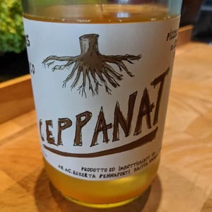 Ceppanat - Pennaforti - pennaforti