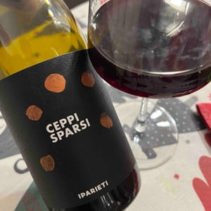 Ceppi sparsi - I parieti - matteo-santoiemma -2020