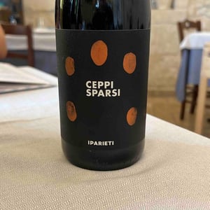 Ceppi sparsi - I parieti - matteo-santoiemma -2020