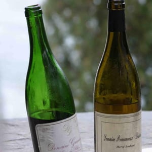 Ceps Centenaires - Domaine Gramenon - michele-aubery-laurent-maxime-francois-laurent