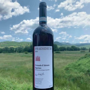 Cerasuolo d’Abruzzo Superiore DOC - Praesidium - Enzo, Lucia, Antonia et Ottaviano Pasquale 