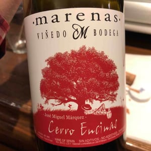 Cerro Encinas - Marenas Viñedo y Bodega - José Miguel Márquez Herrador 