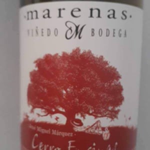 Cerro Encinas - Marenas Viñedo y Bodega - José Miguel Márquez Herrador 