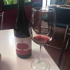 Marenas Viñedo y Bodega - José Miguel Márquez Herrador - Cerro Encinas