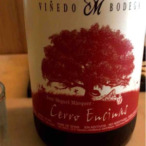 Cerro Encinas - Marenas Viñedo y Bodega - José Miguel Márquez Herrador 