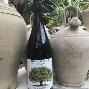 Cerro Encinas - Marenas Viñedo y Bodega - jose-miguel-marquez-herrador