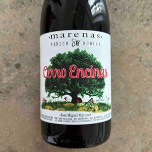 Cerro Encinas - Marenas Viñedo y Bodega - José Miguel Márquez Herrador 
