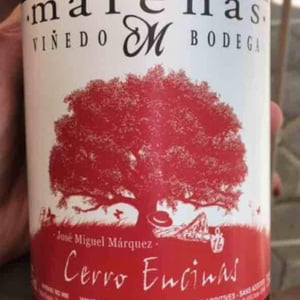 Cerro Encinas - Marenas Viñedo y Bodega - jose-miguel-marquez-herrador