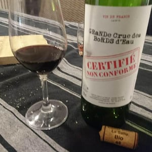 Certifié Non Conforme - Castel-Vieilh La Salle - Elena & Mickaël Jaumain 