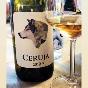 Ceruja 2017