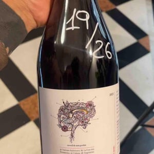 Cervell de Mas Perdut - Finca Mas Perdut - josep-i-rebeca -2021