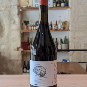 Cervell de Mas Perdut - Finca Mas Perdut - Josep i Rebeca -2021