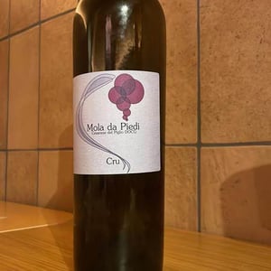 Cesanese del Piglio DOCG CRU Mola da Piedi - Azienda Agricola Maria Ernesta Berucci - Massimi Berucci -2018