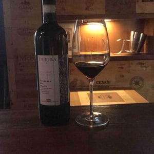 Terra Rosso - Agricola Agricola Macciocca - Mario Macciocca 
