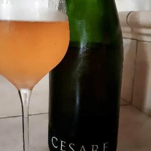 Cesare 2016