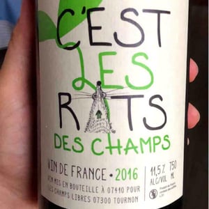C'est les Rats des Champs - Les Champs Libres - rene-jean-dard-herve-souhaut