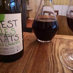 C'est les Rats des Champs - Les Champs Libres - rene-jean-dard-herve-souhaut
